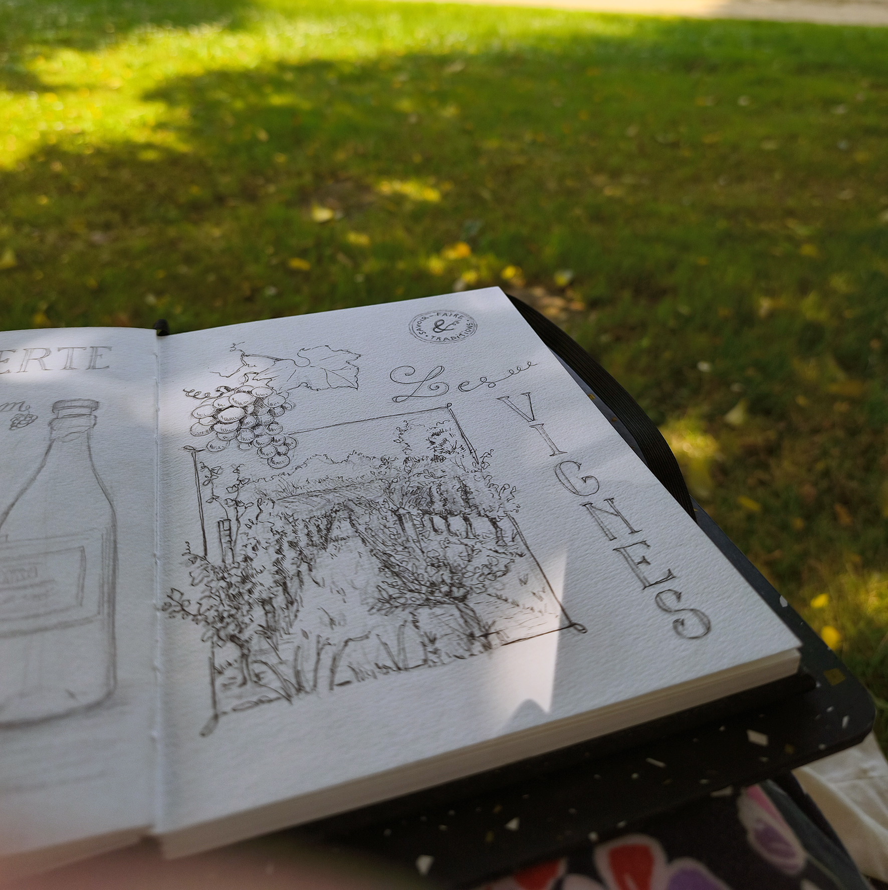 Croquis encré Vignes domaine de Paguy Stage Carnet de vie Virginie Lucas Vinnylu Création