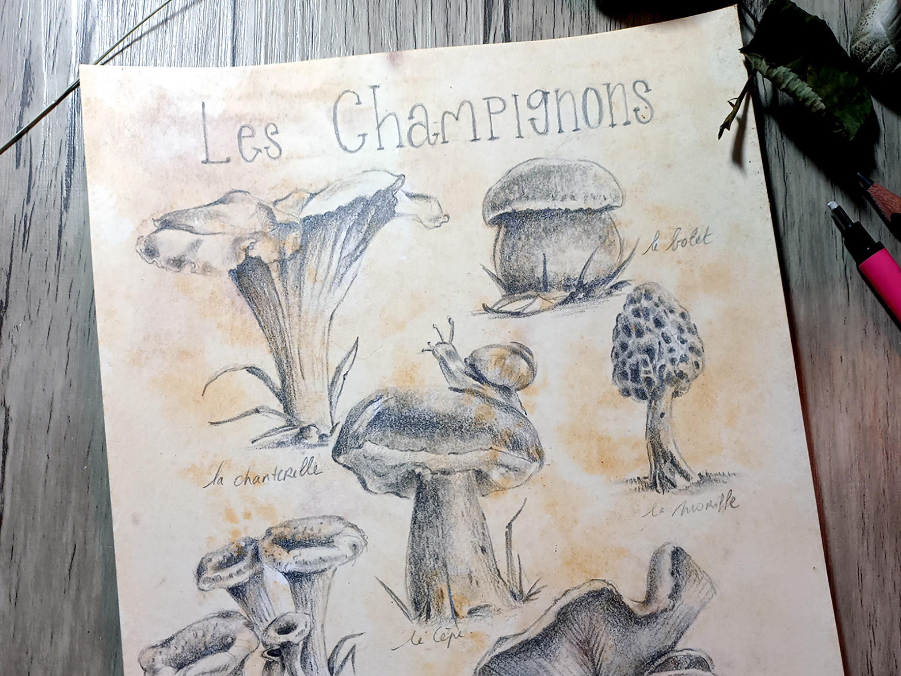 Apprendre à Dessiner en Ligne