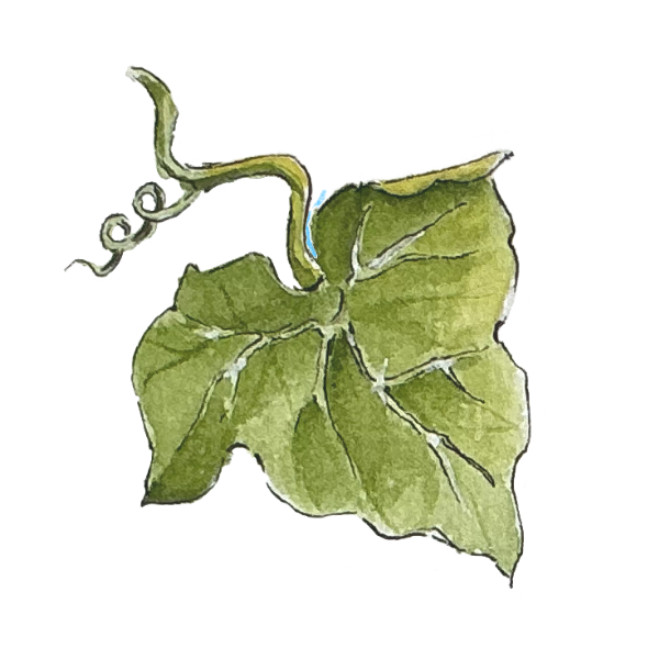Vinnylu Création