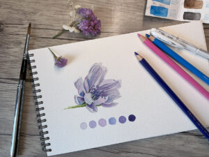 Lire la suite à propos de l’article ✨La magie de l’aquarelle en quelques nuances