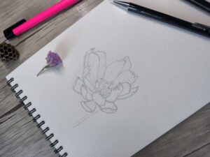 Lire la suite à propos de l’article ✨Lever le blocage du dessin pour oser l’aquarelle